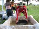 IMG_4249.JPG